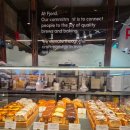 용산-53 | 삼각지 핫플 카페 피요르드 용산 후기 (주차, 영업시간, 위치, 메뉴)