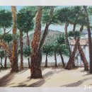 소양강로 이미지