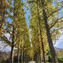 번영가든 이미지