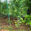 소희꽃농원 이미지