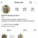 플라워시호 이미지