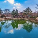 펜션오월의정원 이미지