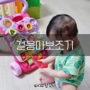 코자니 | 트위스트 베이비 코자니 :: 브이텍 걸음마학습기 러닝워커 구매했어요