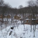 민주지산자연휴양림 충청일보