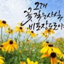 캘리그라피
