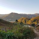 소망마취통증의학과의원 이미지