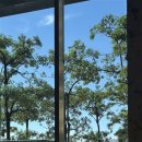 끌어안다 | 제 주위에 저승에서 온 남자친구가 있다고요? - 베트남 점집 언니