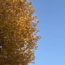 [배우러 온 김해]12/11 핸드드립 | 남아있는 생이 무겁다는 생각이 들었다