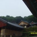 명성계육 이미지