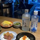 냐옹지마