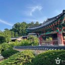 경북 영천 가볼 만한 곳 이미지