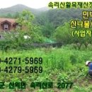 제3회 보은 예술제 이미지