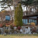 ㈜강릉산업 과학 | [ 강릉 카페 ] 크레마코스타 본점 분위기와 말차푸딩이 맛있어요