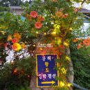 황토그린민박 이미지