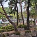 분성로3번길 이미지