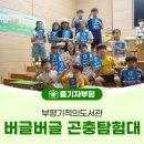 기적의도서관(길주남로166) | [버글버글 곤충탐험대] 부평기적의도서관에서 환경그림책 읽고 여름곤충 관찰하기