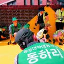 안암초등학교 이미지