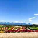 이마트트레이더스 이미지