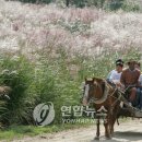 은하천 이미지