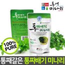 미나리 이미지