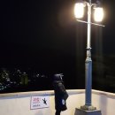 R.F Shop(알에프샵) 이미지