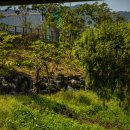 호매실천 이미지