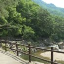 운일암반일암숲길 이미지