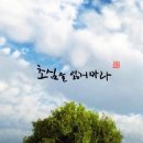 좋은사람들 - 남동구 성말로13번길 15 | 좋은사람들