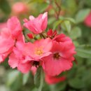 블루벤치 이미지