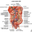 내 몸 부위별 노화 방지 공략법. 이미지