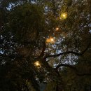 하늘바라기 글램핑 이미지