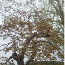 문충초등 이미지