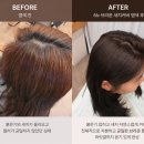 채하 | 수원역저렴한미용실 코멜리헤어랩 채하 디자이너 브라운 새치커버 염색 후기