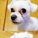 봉자농장 이미지