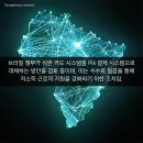 프랑스올리브 이미지