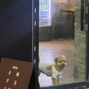 용담스트릿 이미지