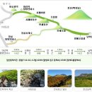 114차 제주도 한라산 눈꽃 산행, 오름․올레길, 바다낚시 투어 이미지