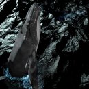 (주)한울소프트 이미지