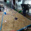 월평3동 행정복지센터 이미지