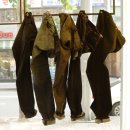 SNAP(스냅) 이미지