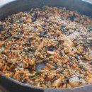 조가네갑오징어 이미지