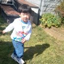 로뎀나무어린이집 이미지