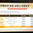 강원참숯 찜질방 | [강원] 파인리즈리조트 찜질방 &#39;아젤리아&#39; 내돈내산 후기