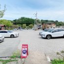 쌍둥이네 애견 이미지