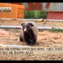산청누리농장