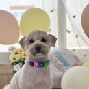 멍멍1길 23 이미지