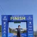 장흥정남진휴게소 | 2026 정남진 장흥 철인 3종 대회 후기(feat. 겸손하자)