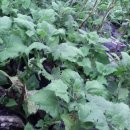 병현농장 이미지