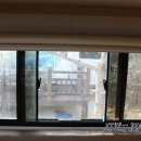 고래불국민야영장 이미지