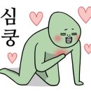 서귀고양이 이미지